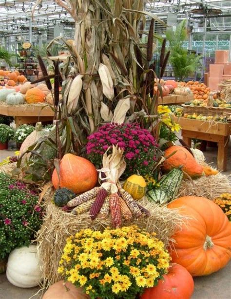 Pumpkin Decorations Designs And Art For Fall And Halloween Fall Yard