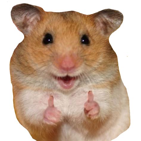 Freetoeditlikerhamster Hamster Like Nine Meme Remixit En 2020