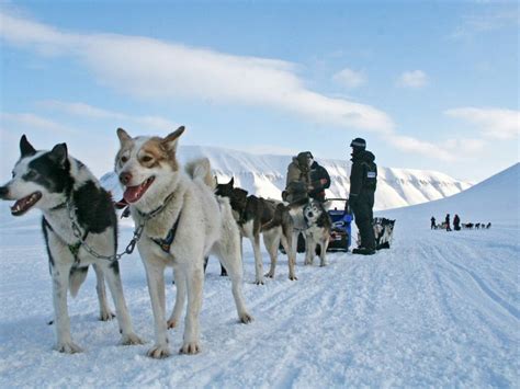 Dog Sledding In Spitsbergen Svalbard Itinerary Steppes Travel