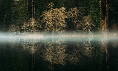 Wallpaper Sunlight Trees Landscape Dark Lake Water