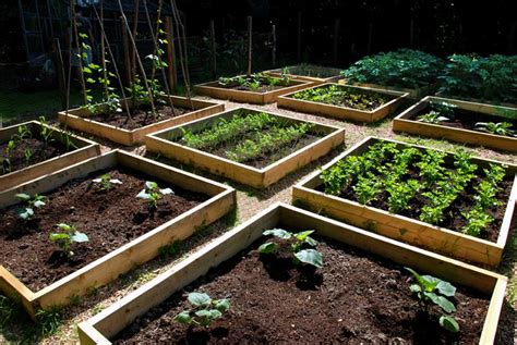 24 Awesome Ideas For Backyard Vegetable Gardens