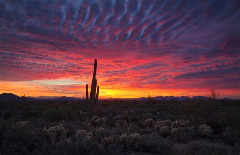 Hot Pink Desert Skies Photograph By Saija Lehtonen Fine Art America