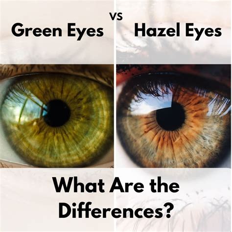 All About The Human Eye Color Chart Ovo Mod Fashion Hazel Color Eyes