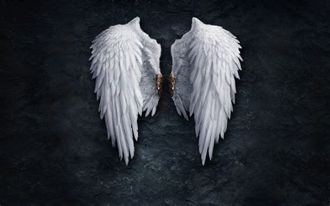 Angel Wings Background 49 Images