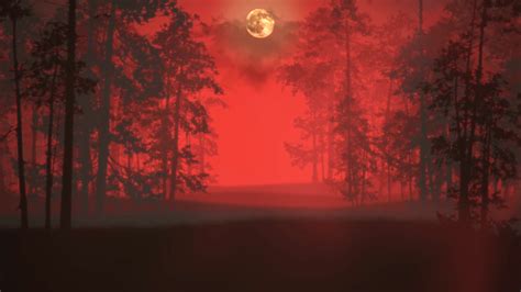 Mystical Horror Background With Dark Blood Forest And Fog Abstract