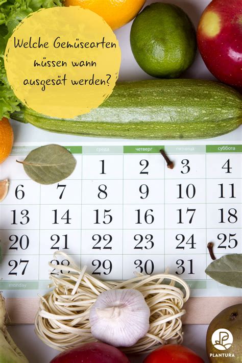 Gemüse anbauen kann man auch im schatten: Aussaatkalender: Wann wird was ausgesät | Aussaat kalender ...