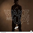 Song of the Week: 'Wake Me Up!,' Avicii - nj.com
