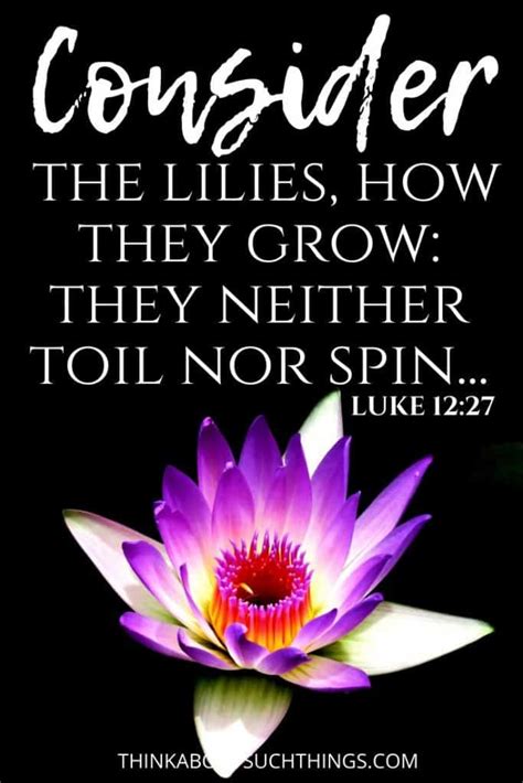 A voice says, cry! and i said, what shall i cry? all flesh is grass, and all its beauty is like the flower of the field. 25 Interesting Bible Verses About Flowers | Think About ...
