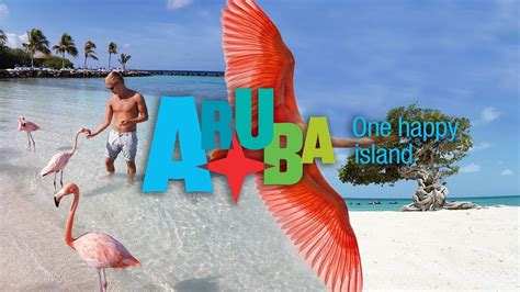 Aruba 2016 Our Trip To One Happy Island Flamingo Island Pl Youtube