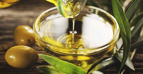 How To Make Homemade Olive Oil A Step By Step Guide