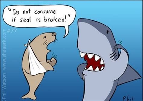 Pms And Shark Week Humor Funny Puns Hilarious Puns Hilarious