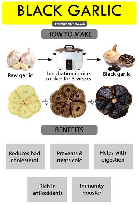 Check spelling or type a new query. BLACK GARLIC: REASONS YOU SHOULD EAT IT AND HOW TO MAKE IT