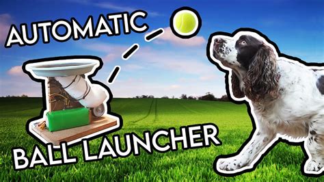 In addition, it has a. Building My Dog an Automatic Ball Launcher! - YouTube