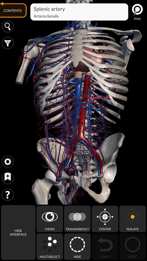 Anatomy 3d Atlas Apk Voor Android Download