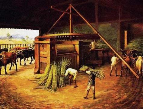 Duas Atividades Econômicas Destacaram-se Durante O Período Colonial Brasileiro