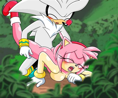 1243569 Amy Rose Silver The Hedgehog Sonic Team Project770