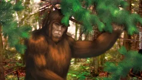 Watch Giant Bigfoot Filmed In Idaho Iheart