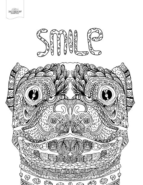 10 Toothy Adult Coloring Pages Printable Off The Cusp