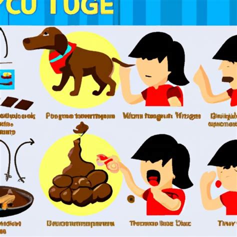 How To Make Your Dog Vomit After Eating Chocolate A Guide The