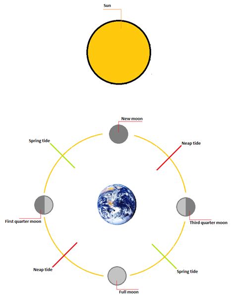 Expedition Earth How Tides Are Formed