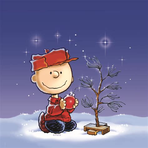 Charlie Brown Christmas Tree Wallpapers Wallpaper Cave