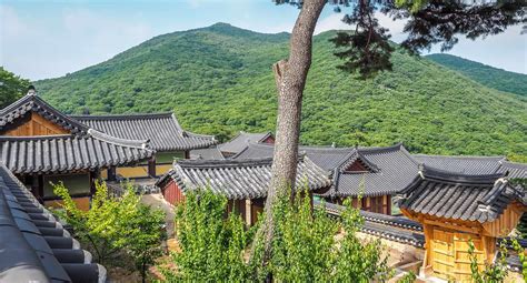 My Beomeosa Temple Stay Uncovering Korean Buddhist Culture Spiritual