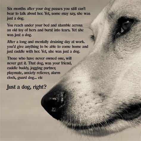 Just A Dog Right Dog Poems Dog Quotes Dogs