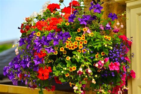 70 Hanging Flower Planter Ideas Photos And Top 10 Home Stratosphere