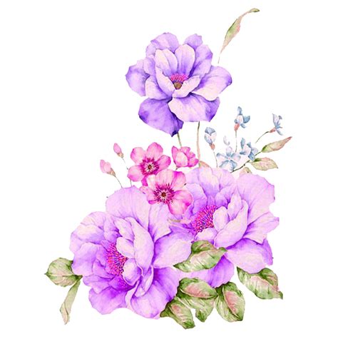 Flower Png Watercolor Watercolour Flowers Watercolor Painting Flower