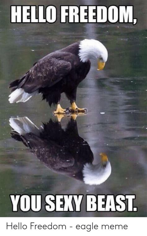 🔥 25 Best Memes About Freedom Eagle Meme Freedom Eagle Memes