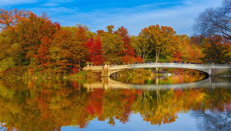 Capturing The Beauty Of The Fall Season Learn Photography By Zoner