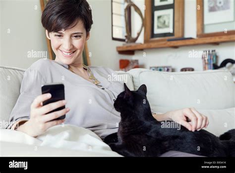 Three Cats Sofa Hi Res Stock Photography And Images Alamy