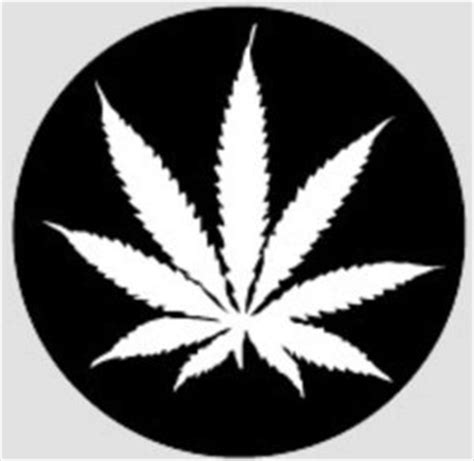 Collection of leaf images black and white (58) clip art black and white white marijuana leaf vector CBD: Marijuana Compound Has No High, But Relieves Pain ...