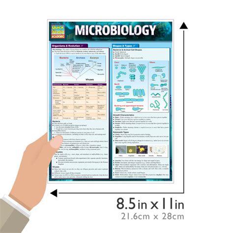 Quickstudy Microbiology Laminated Study Guide 9781423233190