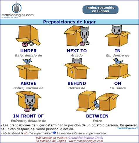 Prepositions Of Please English Quizizz