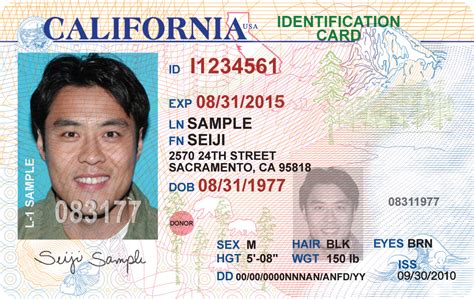 California Identification Card Template Flyer Template