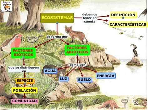 Ciencias Naturales Y Tecnología Factores Abióticos Y Bióticos De Un