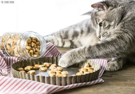 Make your own nutritious dog and cat food and treats from ingredients you trust. 3 Ingredient Salmon Cat Treats - The Cookie Rookie