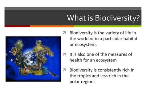 Ppt Biodiversity Powerpoint Presentation Free Download Id2470759