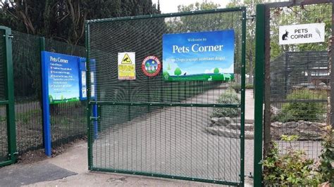 Bird Flu Leicesters Pets Corner Closes Amid National Outbreak Bbc News