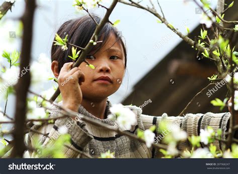 Ha Giang, Viet Nam - Feb 26, 2015: Unidentified Girl Of Hmong Ethnic ...