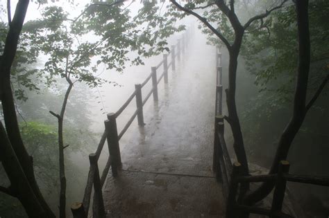 A poem I wrote called The Road Less Travelled, describing the