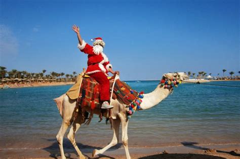 Новый год в Египте Отзывы погода туры