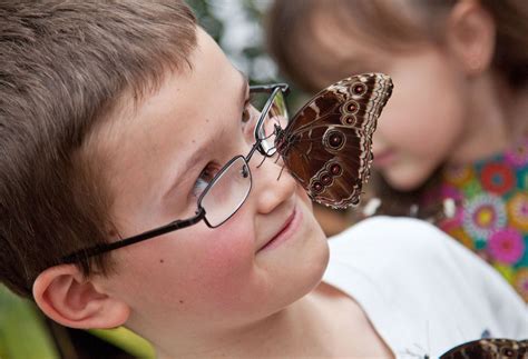 Natureplus Whats New At The Museum Last Days To Be Surrounded By Butterflies