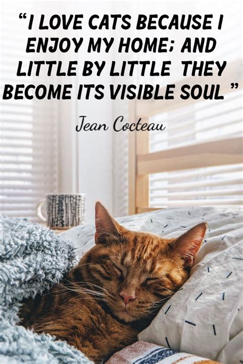I Love Cats Because I Enjoy My Home And Little By Little They Become