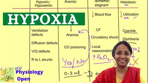 Hypoxia Physiology Causes Features Fio2 Respiratory System Physiology Lecture Mbbs 1st