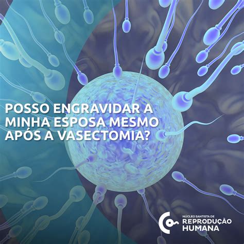 Ask anything you want to learn about vasectomia by getting answers on askfm. Posso engravidar a minha esposa mesmo após a Vasectomia ...