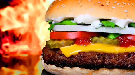 Food Burger Hd Wallpaper