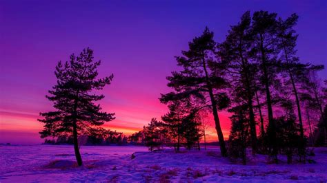 Winter Sunset Hd Wallpaper Background Image 1920x1080