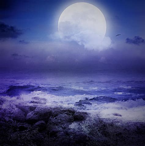 Allure Of A Full Moon By Zankruti Murray On Deviantart